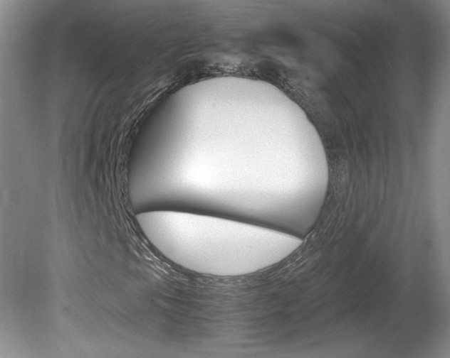 X0000080141105200612081019