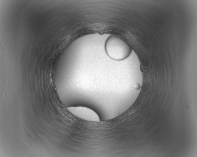 X0000080141106200612081019