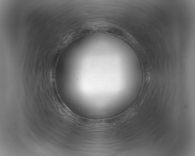 X0000080141108200612081019
