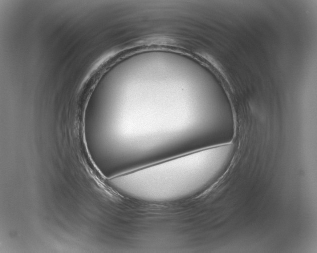 X0000080141115200612081019