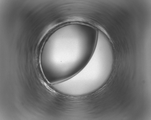 X0000080141116200612081019