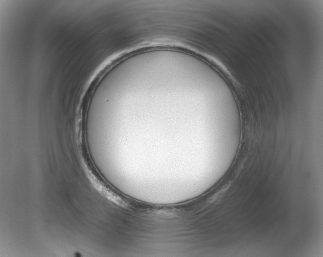 X0000080141126200612081019