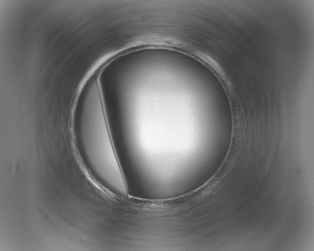 X0000080141128200612081019