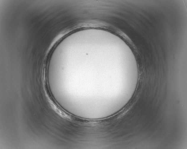X0000080141130200612081019