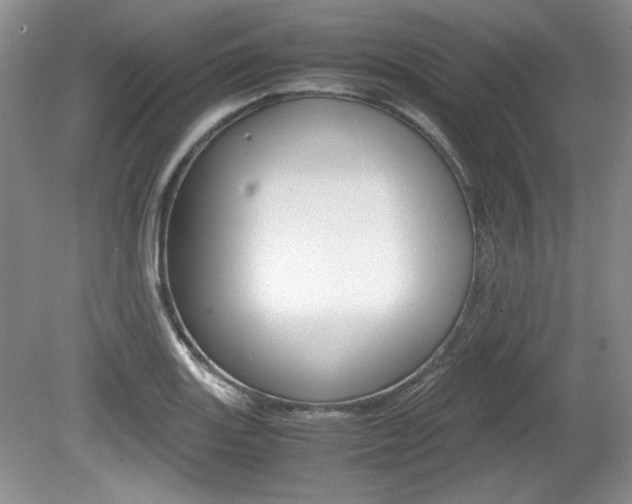 X0000080141131200612081019