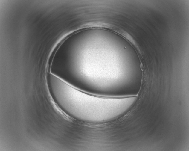 X0000080141132200612081019