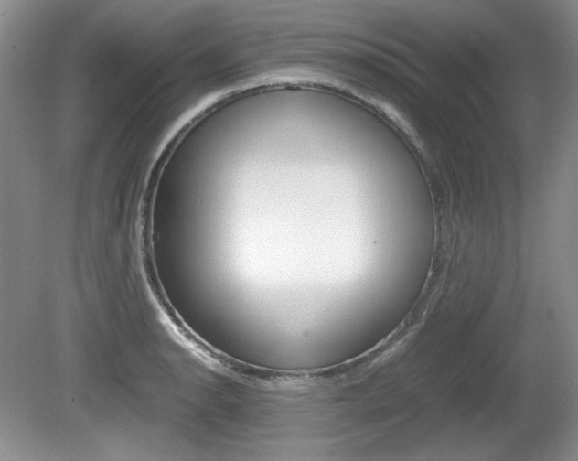 X0000080141134200612081019
