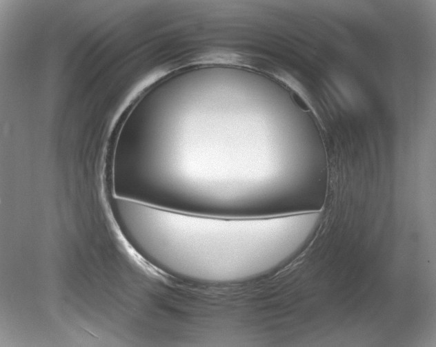 X0000080141139200612081019