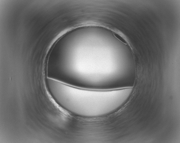 X0000080141142200612081020