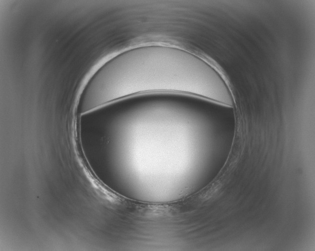 X0000080141144200612081020