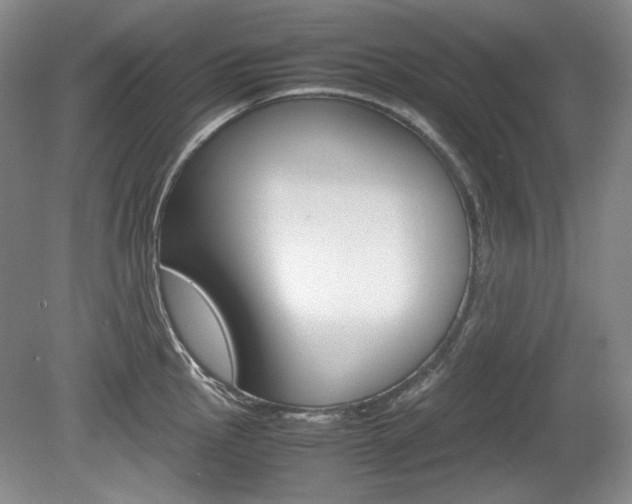 X0000080141145200612081020