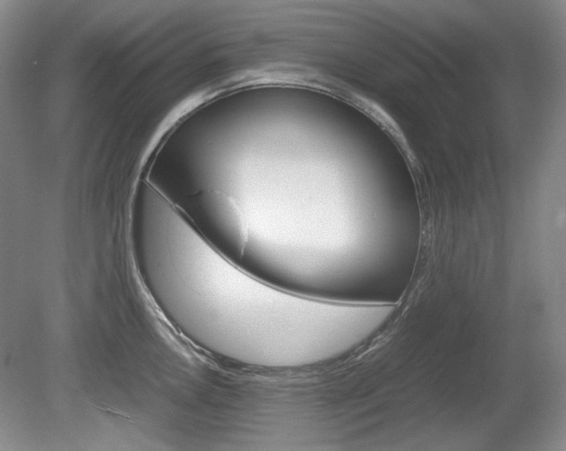 X0000080141146200612081020