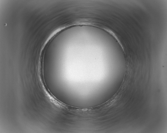 X0000080141147200612081020