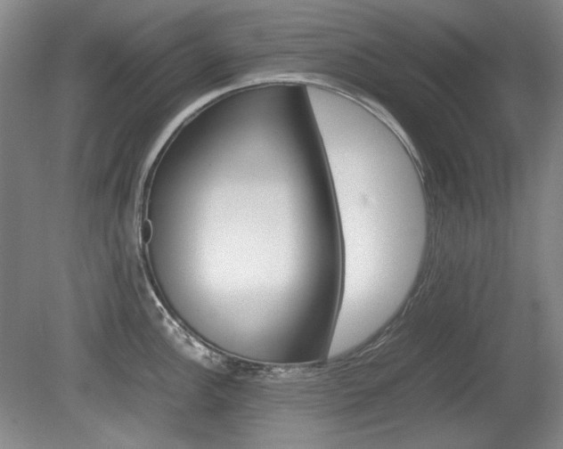 X0000080141148200612081020