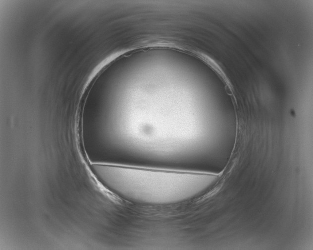 X0000080141149200612081020