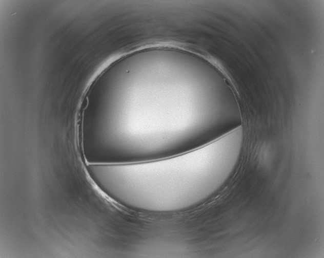 X0000080141151200612081020