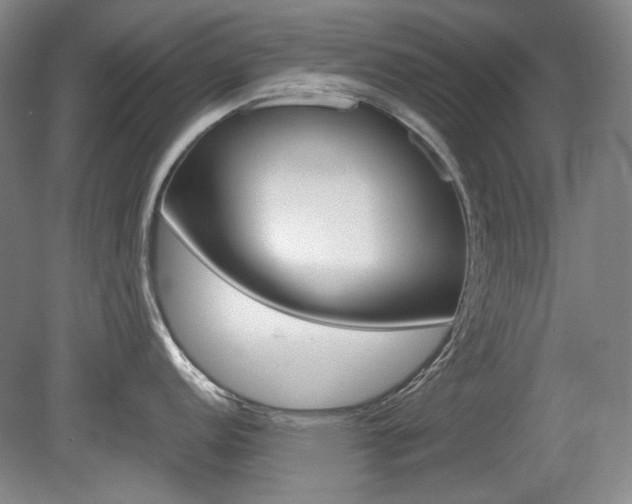 X0000080141152200612081020