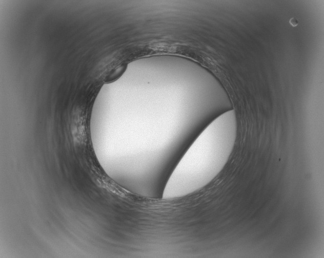 X0000080141154200612081019
