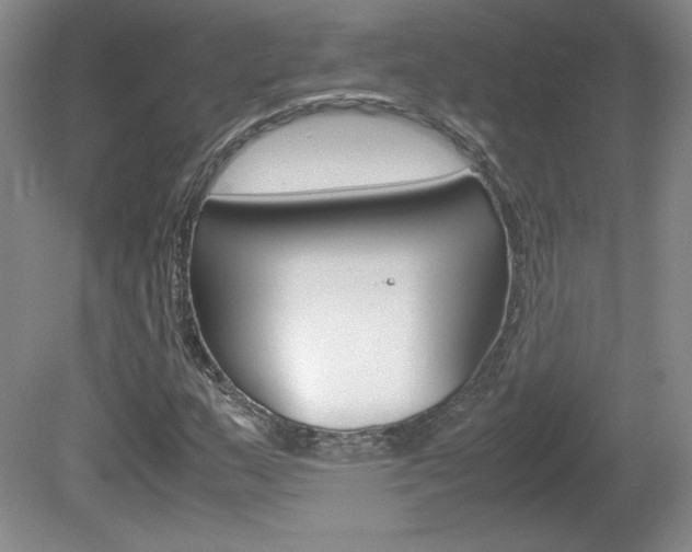 X0000080141159200612081019