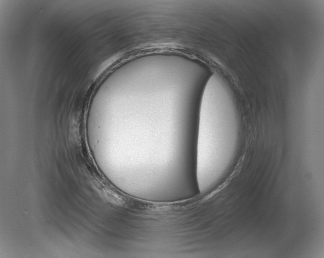 X0000080141162200612081019