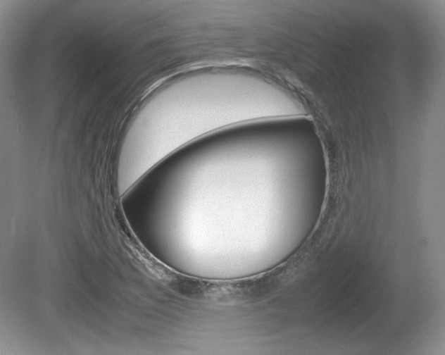 X0000080141169200612081019