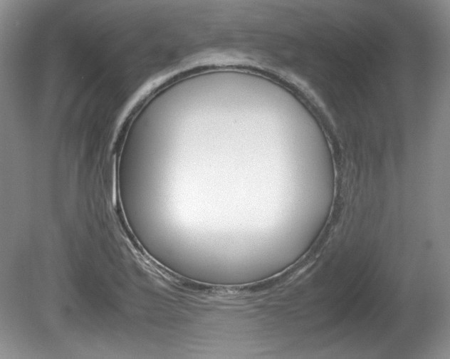 X0000080141175200612081018