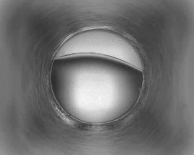 X0000080141177200612081018