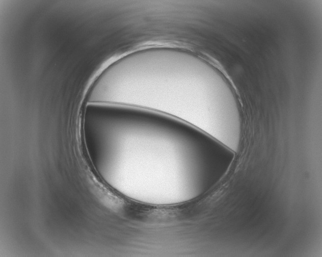 X0000080141179200612081018
