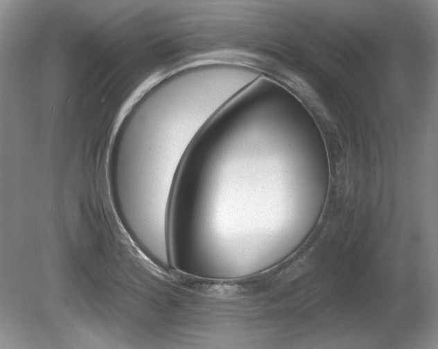 X0000080141180200612081018