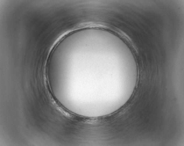 X0000080141182200612081018