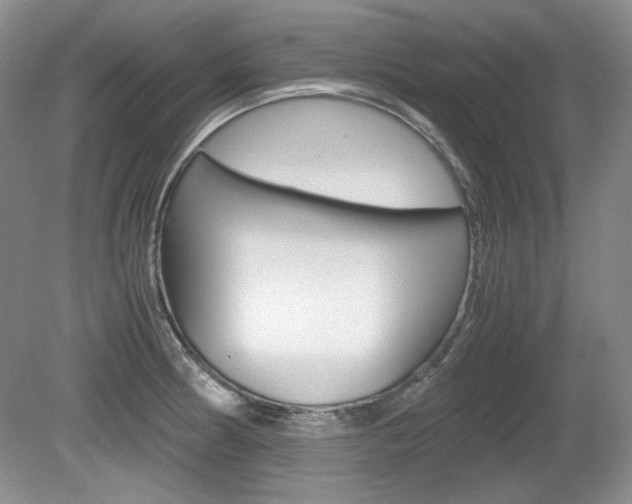 X0000080141186200612081018