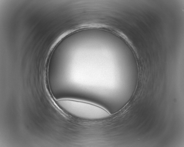 X0000080141187200612081018