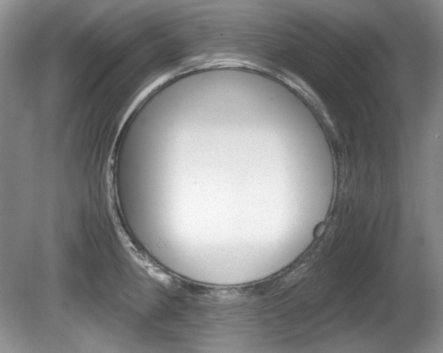 X0000080141190200612081018