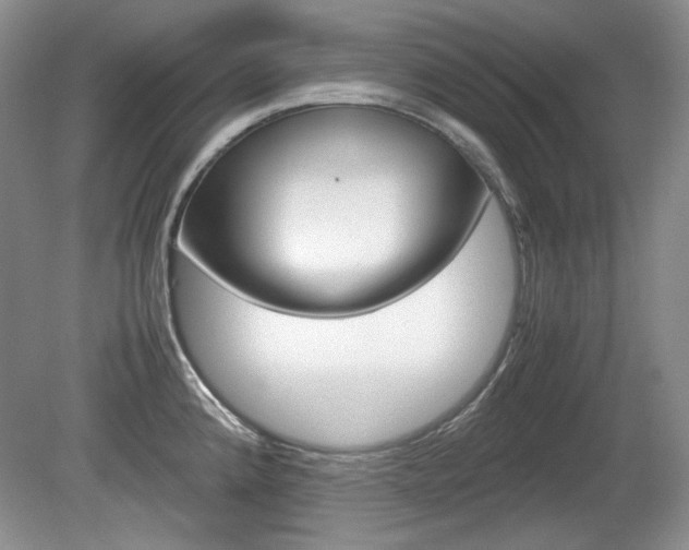 X0000080141192200612081018