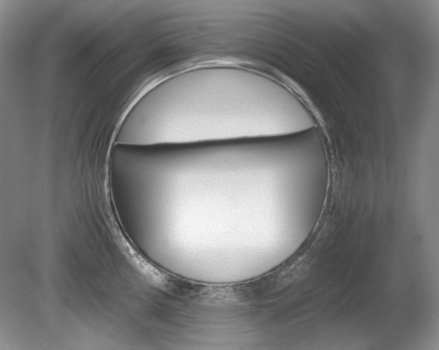 X0000080141194200612081018
