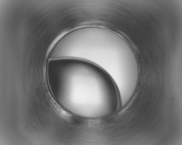 X0000080141196200612081018