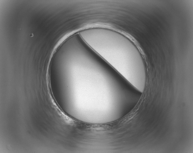 X0000080141199200612081018