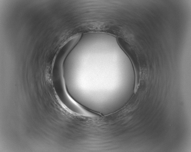 X0000080141202200612081017