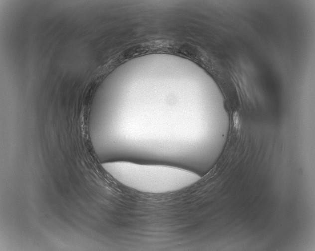 X0000080141203200612081017