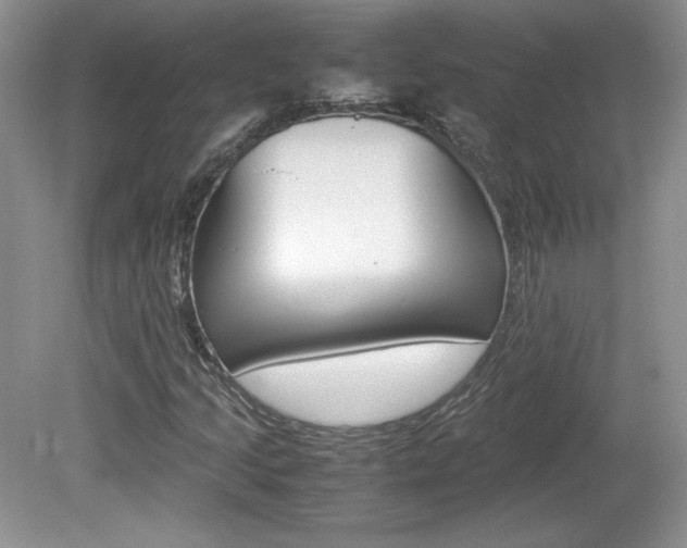 X0000080141205200612081017