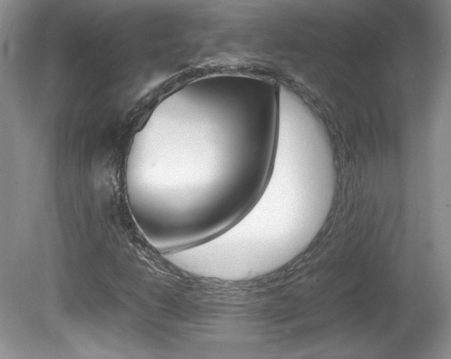 X0000080141206200612081017