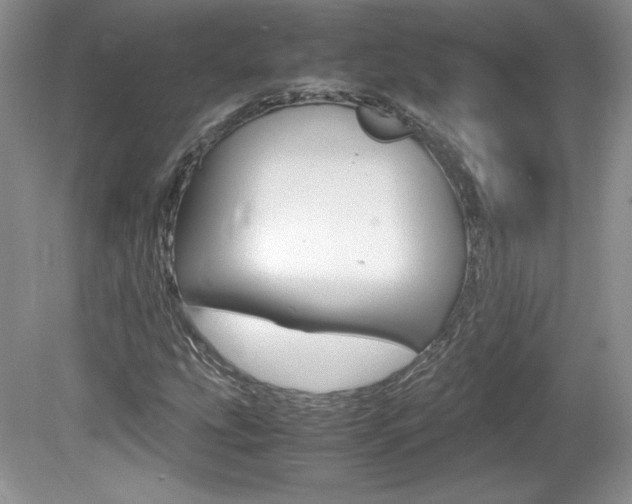 X0000080141207200612081017
