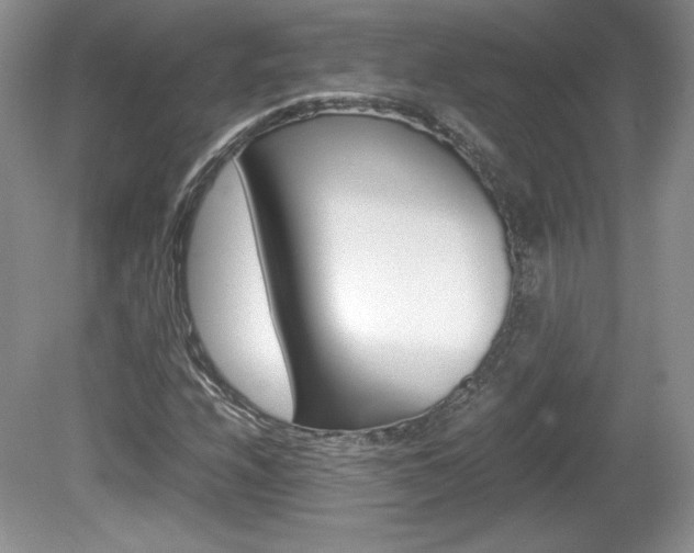 X0000080141208200612081017