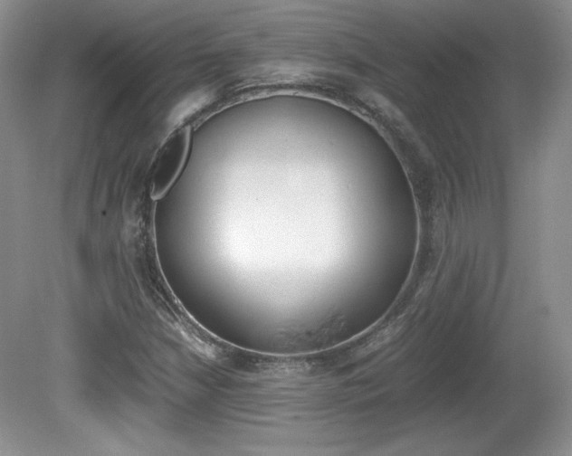 X0000080141210200612081017