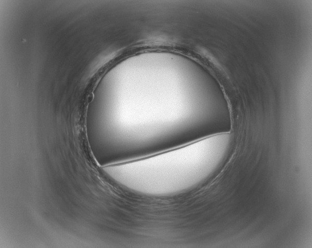 X0000080141213200612081017