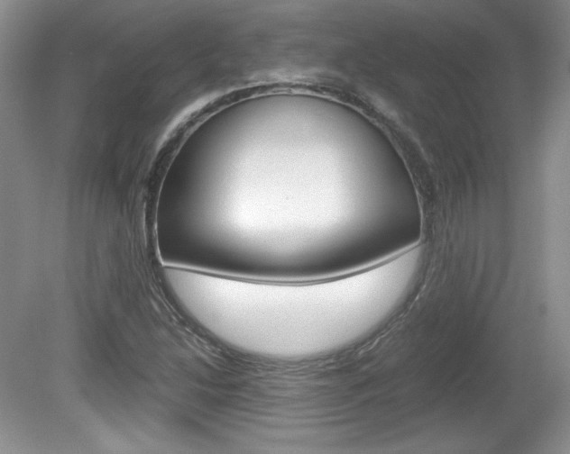 X0000080141214200612081017