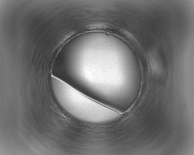 X0000080141217200612081018