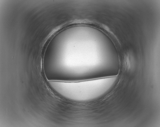 X0000080141221200612081018