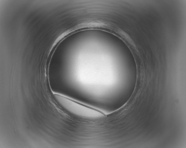 X0000080141226200612081018