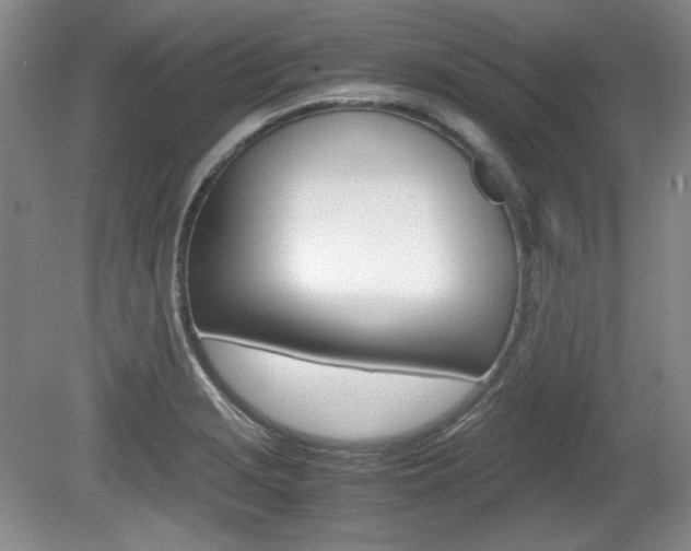 X0000080141229200612081018